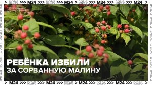 Пенсионер набросился на ребёнка из‑за малины - Москва 24