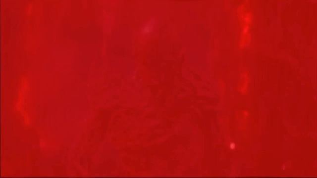 MONTAGEM IMPACIENTE 2 Henry/Vecna/001 Edit смотреть онлайн