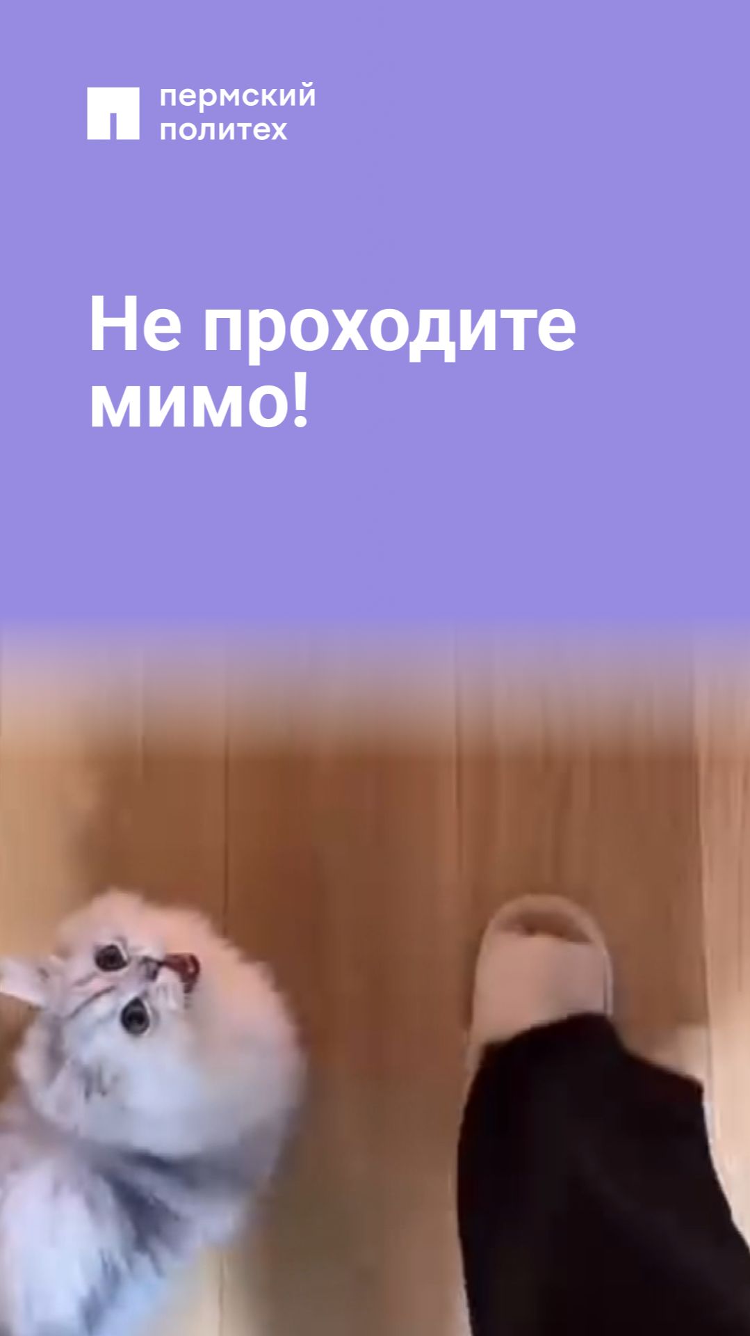 Не проходите мимо!