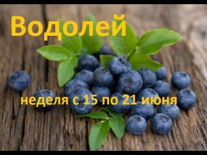 Водолей таро прогноз на неделю с 15 по 21 июня 2026 года.