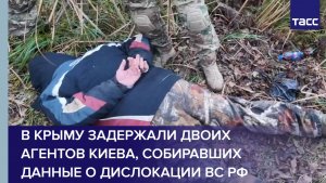 В Крыму задержали двоих агентов Киева, собиравших данные о дислокации ВС РФ