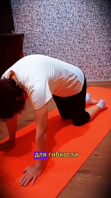 Как не сорвать спину на даче  #здоровыйобразжизни  #здоровыйдух  #спорт