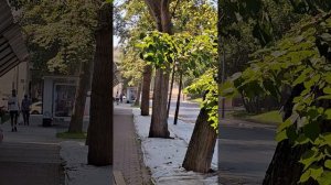 Альтернативная экскурсия Грузинская Слобода. Малая Грузинская улица Москва. Дом В.Высоцкого.