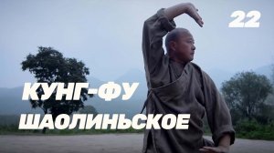 Тренер по ушу хочет открыть школу боевых искусств, чтобы обучать шаолиньскому кунг-фу|CCTV Русский