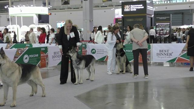 Класс чемпионов