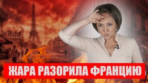 Почему жара обошлась Франции в миллиарды евро? Ошибка правительства, которая стала катастрофой