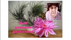 03.07.26. Мой дневник диабетика.