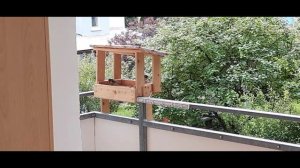 Кормушка - 03.07.26.