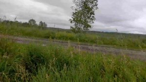 РЫБАЛКА В ПАСМУРНУЮ ПОГОДУ НА ПРУДУ.. ВЫХОДИТ ИЗ БЕРЕГОВ ВОДА