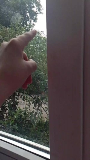 утро с реборном Евой