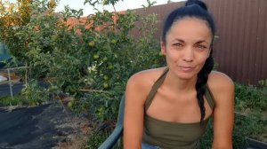 Съездили на дачу. Столько мошкары, откуда она взялась! У нас свой собственный волк)))
