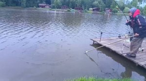 поимка карпа
