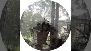 03-07-2026  18+ доброе утро