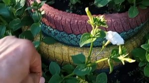 В ГОРОД  В КРУГОВУЮ🚙🏣 ЗАТОПИЛА💦 ДОМАШНИЕ ДЕЛА🌱