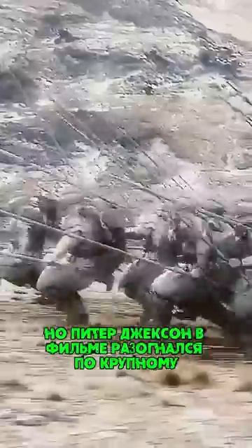Сколько Войнов сошлось в битве .