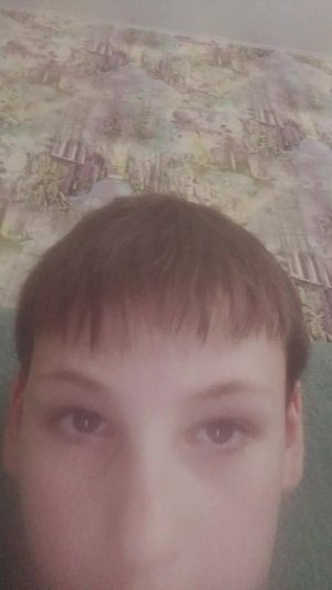 игра в roblox