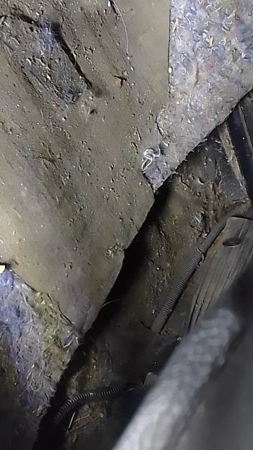 Простая диагностика автомобилей