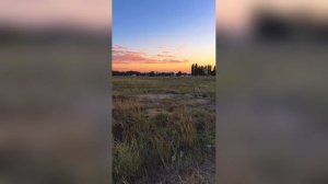 Закат Поле Блёстки Класс