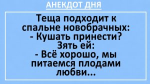 Теща подходит к спальне новобрачных: Кушать принести?... | Анекдоты смешные | Юмор