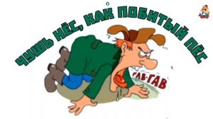 ЧУШЬ НЁС, КАК ПОБИТЫЙ ПЁС
