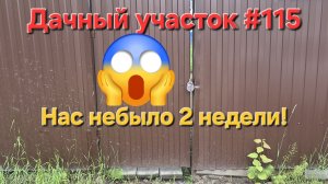 Дачный участок #115 Нас небыло 2 недели