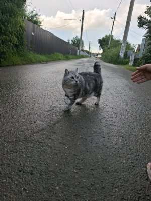 я в саду