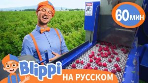 Песня Про Сбор Малины _ Обучающие Песни для детей _ Blippi Russian