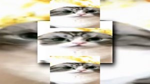 тыщтыщ