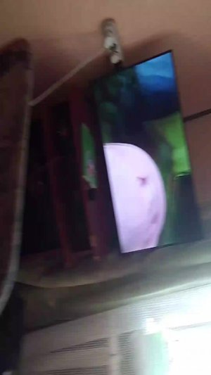 влок с реборном