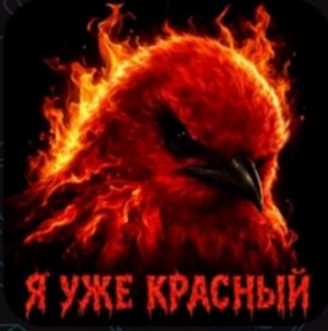новый дом