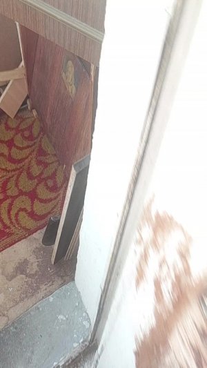 влок с реборном кармлю Еву