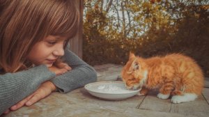Песни для души.
«Доброта.»