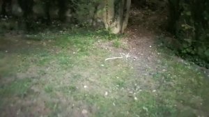 ВЕЧНАЯ ПРОГУЛКА С КУПОЙ ИГРА С ПАЛОЧКОЙ