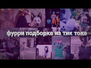 видео подборка фурри из тик тока💦|Тик ТОК💕/ ТТ🙉/ Фурри😅