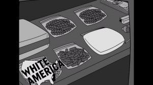 Eminem - White America