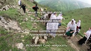 Шамиль Абакаров. Бицце мууле, цце мууле. Нейропесня на кубачинском языке.
