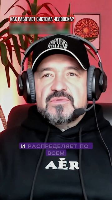 742_КАК РАБОТАЕТ СЕРДЦЕ И ЛЕГКИЕ РАСКРЫТИЕСЕРДЦА