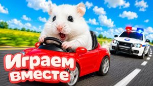 ХОМЯК ВЫБИРАЕТСЯ ИЗ СЕКРЕТНОЙ ХОМЯЧЕЙ ТЮРЬМЫ ! Забавные животные ! Супер лабиринт для хомяка №41