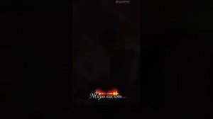 8535.mp4
