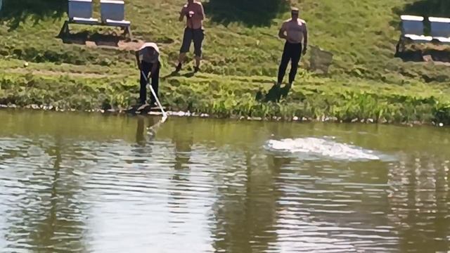 1000156826.mp4 смотреть онлайн