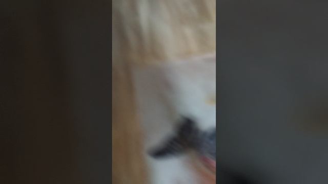 10 часть смотреть онлайн