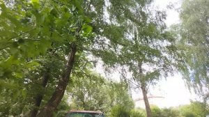 Про косынки, про очки, про палантин!