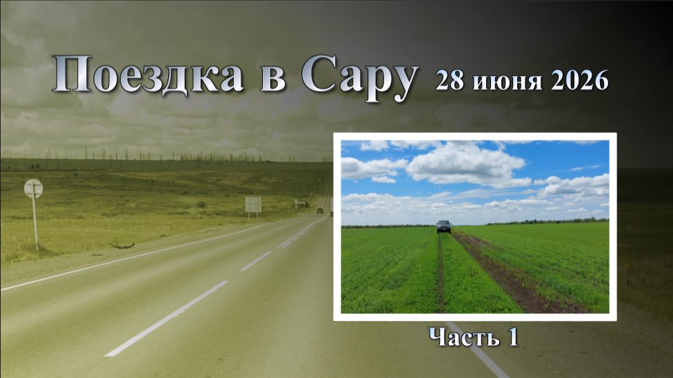 Сара 2026  /  Не узнаем местность, но красиво / В поисках грибов / Всё бросили с мужем и уехали