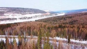 Тайга