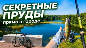 ЕСТЬ ЛИ ЖИЗНЬ В ЭТИХ ПРУДАХ? Объехал весь парк на велосипеде в поисках рыбы | наноджиг