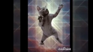 Танцующий котенок