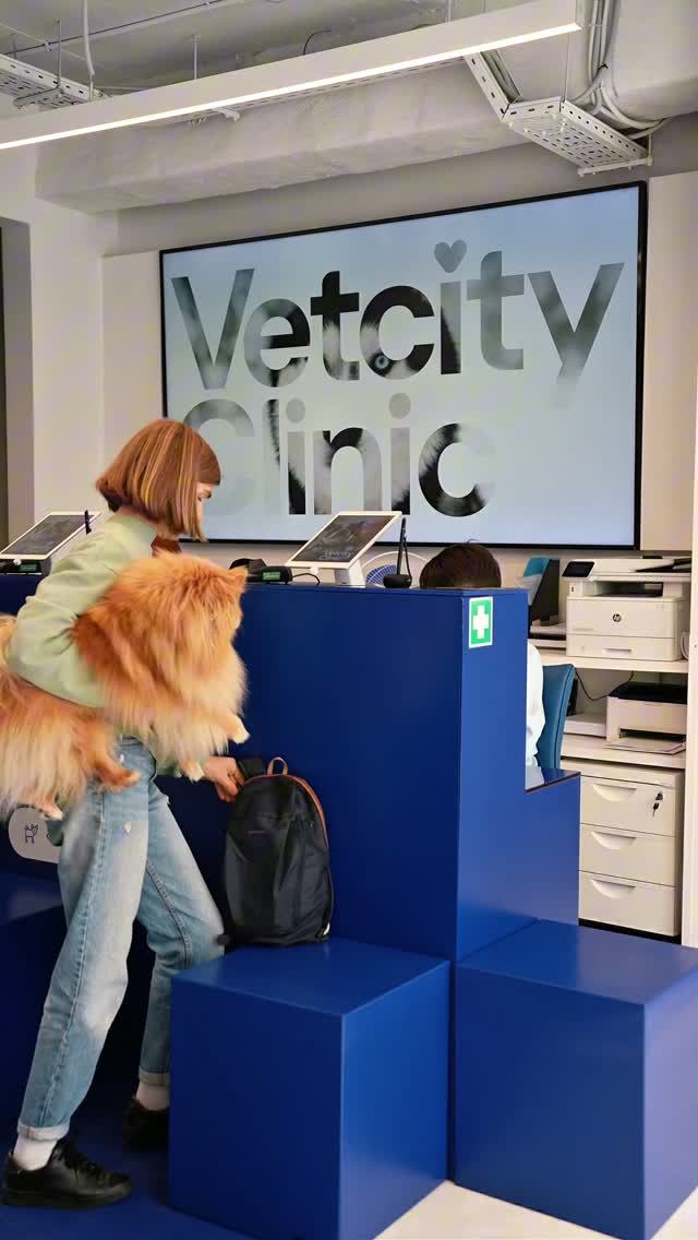 Франшиза Vetcity Clinic смотреть онлайн