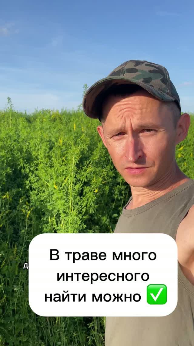 В траве можно много интересного найти