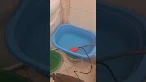 Душ походный аккумуляторный для дачи, похода и кемпинга