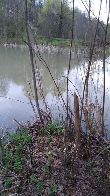✔А есть ли тут🎣 рыба🐟❓✔